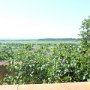 Weekend_Corbieres_21_Mai